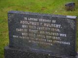 image of grave number 907359